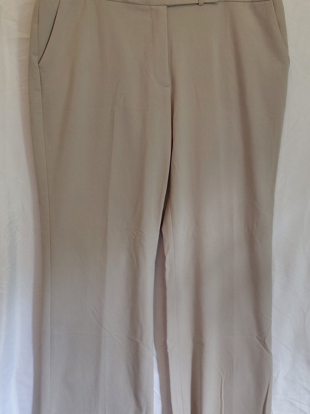 Classic Women's Beige Dress Pants